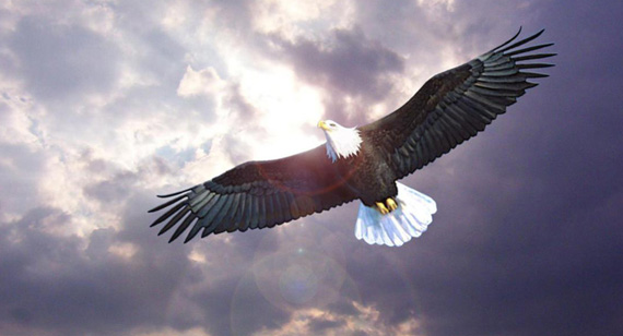 瓦力游戏| 首页 -瓦力出品,必属精品