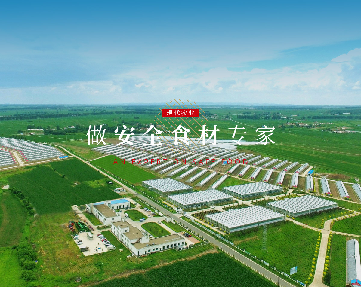 瓦力游戏| 首页 -瓦力出品,必属精品