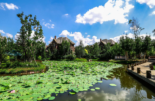 瓦力游戏| 首页 -瓦力出品,必属精品