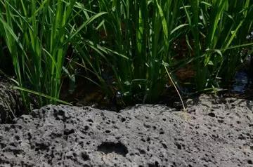 瓦力游戏| 首页 -瓦力出品,必属精品